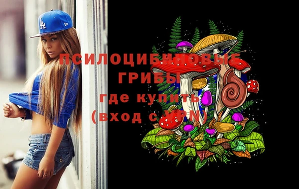MESCALINE Надым