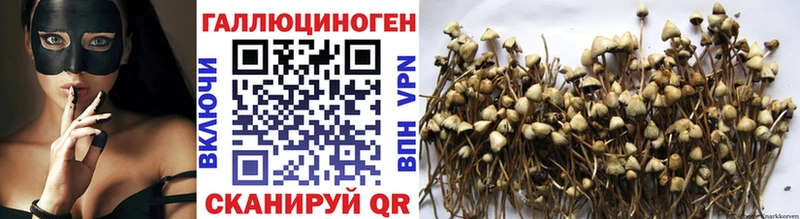 Галлюциногенные грибы MAGIC MUSHROOMS Тында