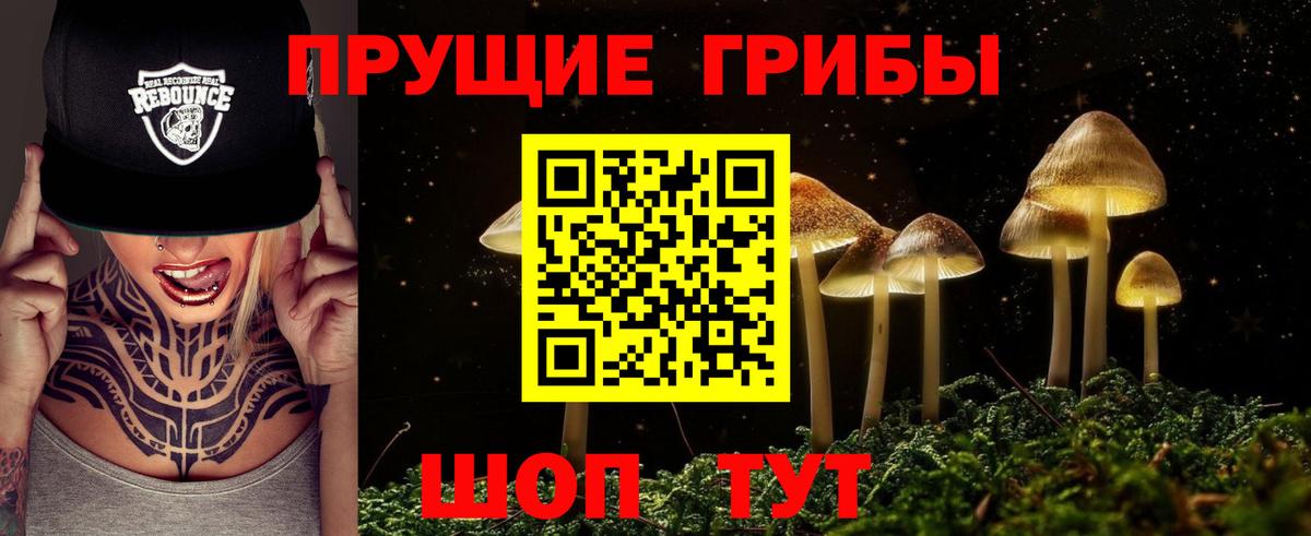 Галлюциногенные грибы прущие грибы Тында